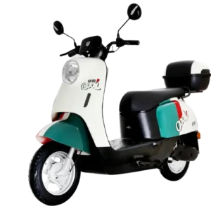 MODA 1 Electric Bike